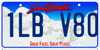 SD license plate 1LBV80