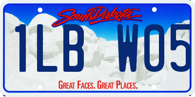 SD license plate 1LBW05
