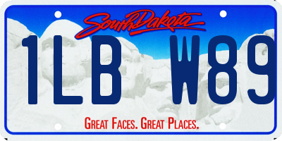 SD license plate 1LBW89