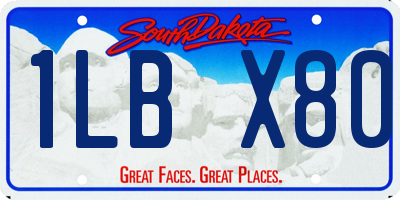 SD license plate 1LBX80