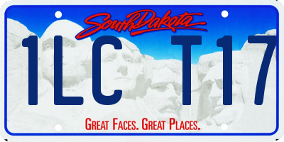 SD license plate 1LCT17