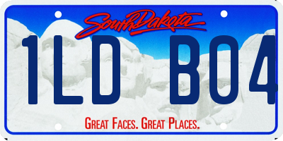 SD license plate 1LDB04
