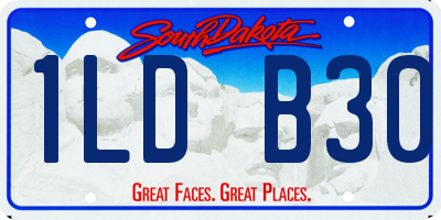 SD license plate 1LDB30