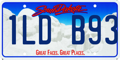 SD license plate 1LDB93