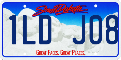 SD license plate 1LDJ08