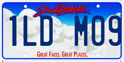 SD license plate 1LDM09