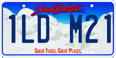 SD license plate 1LDM21