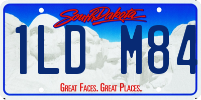 SD license plate 1LDM84