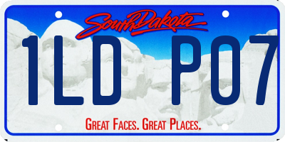 SD license plate 1LDP07