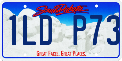 SD license plate 1LDP73