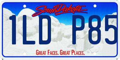 SD license plate 1LDP85