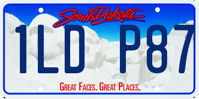 SD license plate 1LDP87