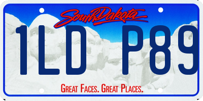 SD license plate 1LDP89