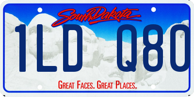SD license plate 1LDQ80
