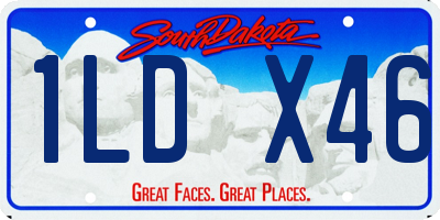SD license plate 1LDX46