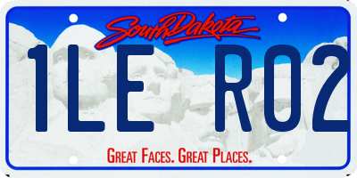 SD license plate 1LER02