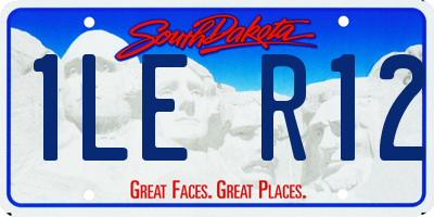 SD license plate 1LER12