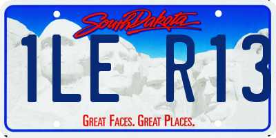 SD license plate 1LER13