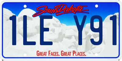 SD license plate 1LEY91