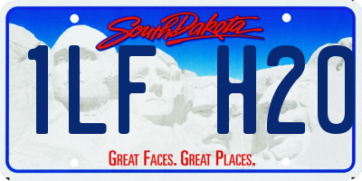 SD license plate 1LFH20