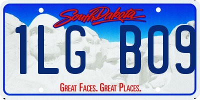 SD license plate 1LGB09