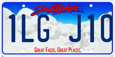 SD license plate 1LGJ10