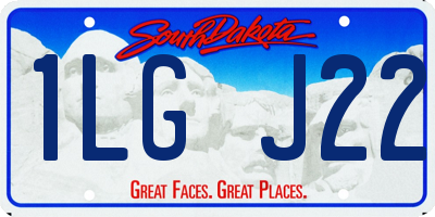 SD license plate 1LGJ22