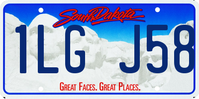 SD license plate 1LGJ58