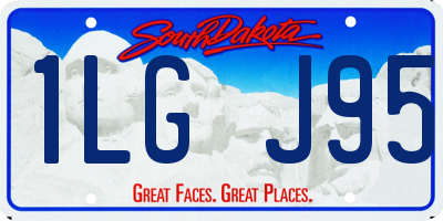 SD license plate 1LGJ95