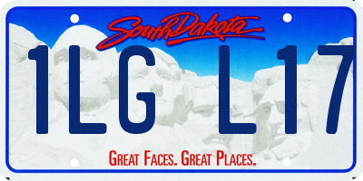 SD license plate 1LGL17