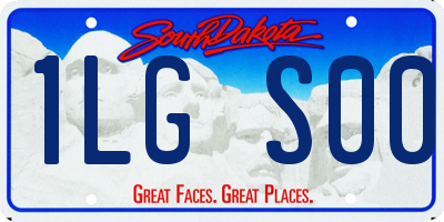 SD license plate 1LGS00