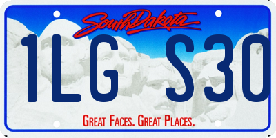 SD license plate 1LGS30