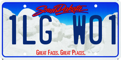 SD license plate 1LGW01