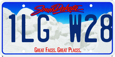 SD license plate 1LGW28