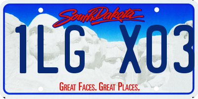 SD license plate 1LGX03