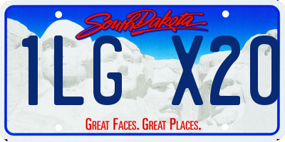 SD license plate 1LGX20