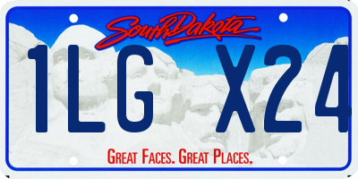 SD license plate 1LGX24