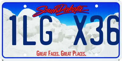 SD license plate 1LGX36