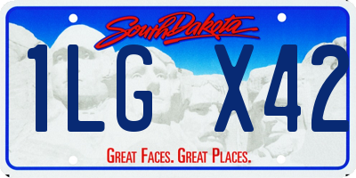 SD license plate 1LGX42