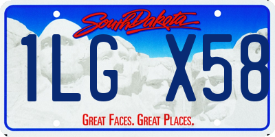 SD license plate 1LGX58