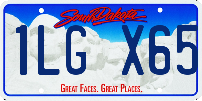 SD license plate 1LGX65