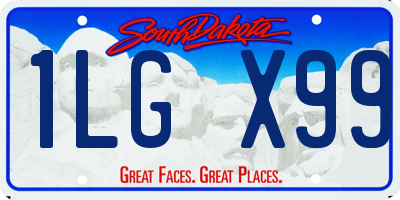 SD license plate 1LGX99