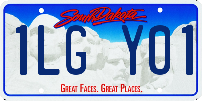 SD license plate 1LGY01