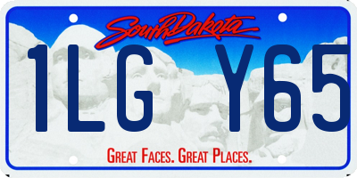 SD license plate 1LGY65