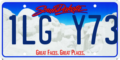 SD license plate 1LGY73
