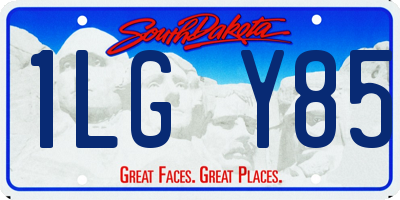 SD license plate 1LGY85