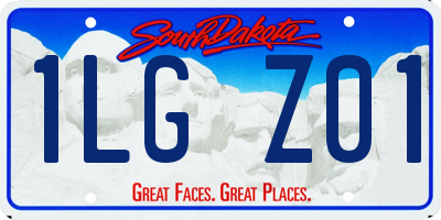 SD license plate 1LGZ01