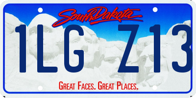 SD license plate 1LGZ13