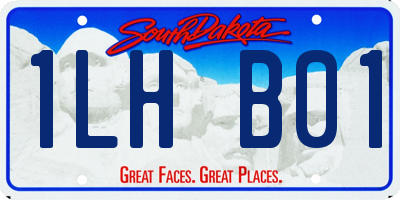 SD license plate 1LHB01