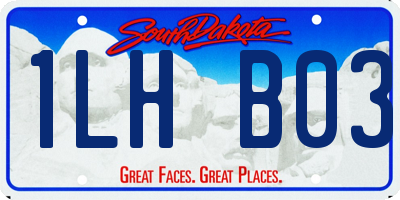 SD license plate 1LHB03
